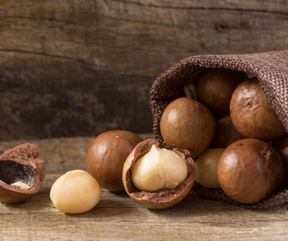 Dinh Dưỡng Bất Ngờ Của Hạt Macca - Nông Sản Việt Farm