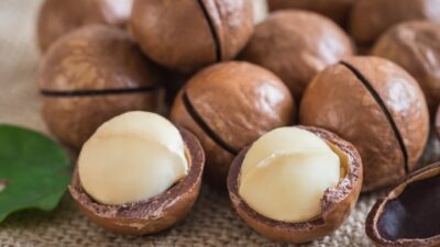 Dinh Dưỡng Bất Ngờ Của Hạt Macca - Nông Sản Việt Farm