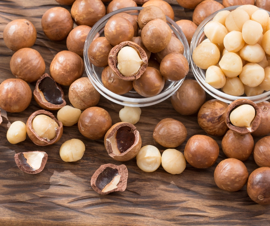 Dinh Dưỡng Bất Ngờ Của Hạt Macca - Nông Sản Việt Farm