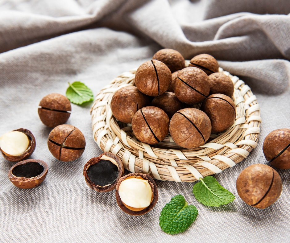 Dinh Dưỡng Bất Ngờ Của Hạt Macca - Nông Sản Việt Farm