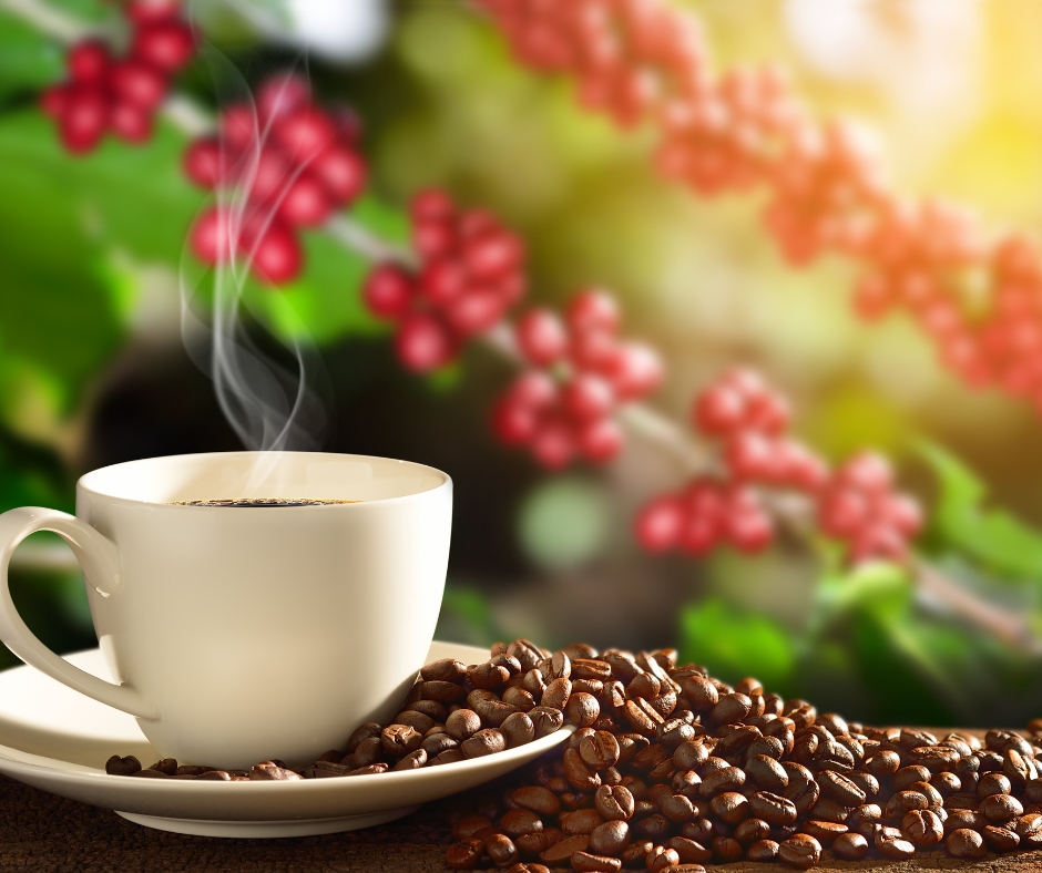 Cà phê nguyên chất VIETFARM chất lượng, uy tín