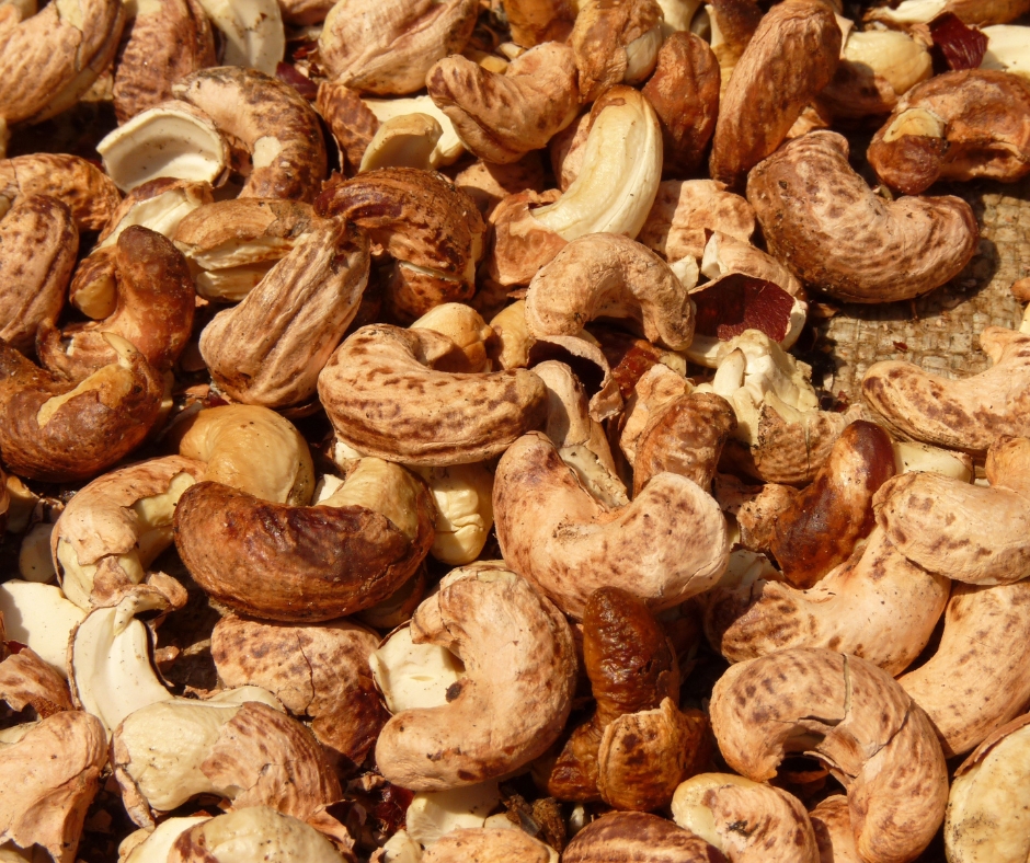 hạt điều Top thương hiệu hạt điều uy tín, chất lượng tại Việt Nam