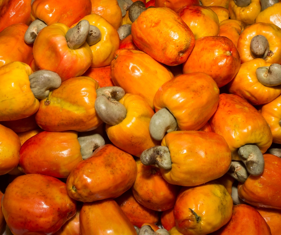 hạt điều Thành phần dinh dưỡng của hạt điều – Lợi ích cho sức khỏe