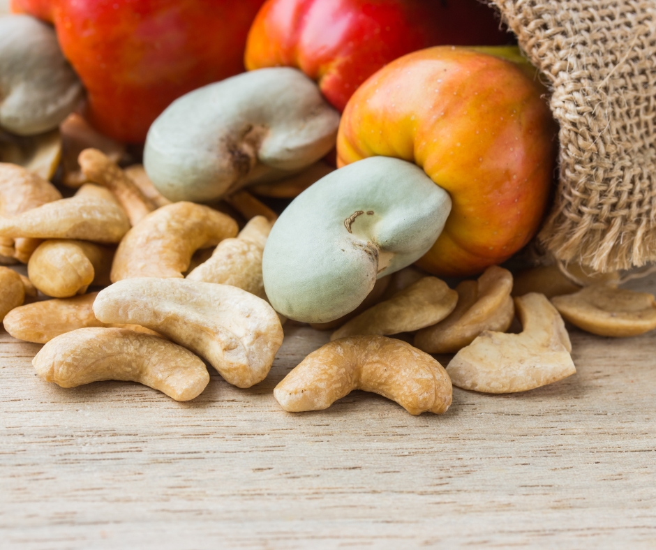 Nhà máy sản xuất hạt điều chất lượng tại VietFarm